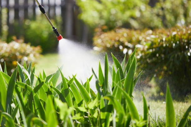 Tamper-Resistant Bait Stations for Rodents in Highlands