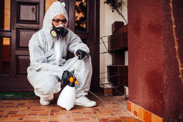 Attic and Crawl Space Rodent Treatment in Highlands
